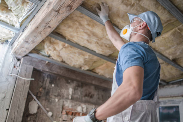Best Insulation Maintenance and Repair in Central City, PA
